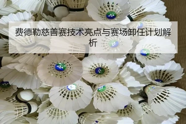 费德勒慈善赛技术亮点与赛场卸任计划解析